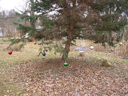 2005-12-12 006